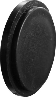 Picture of NOZZLE WILGER 25163-01 PLUG